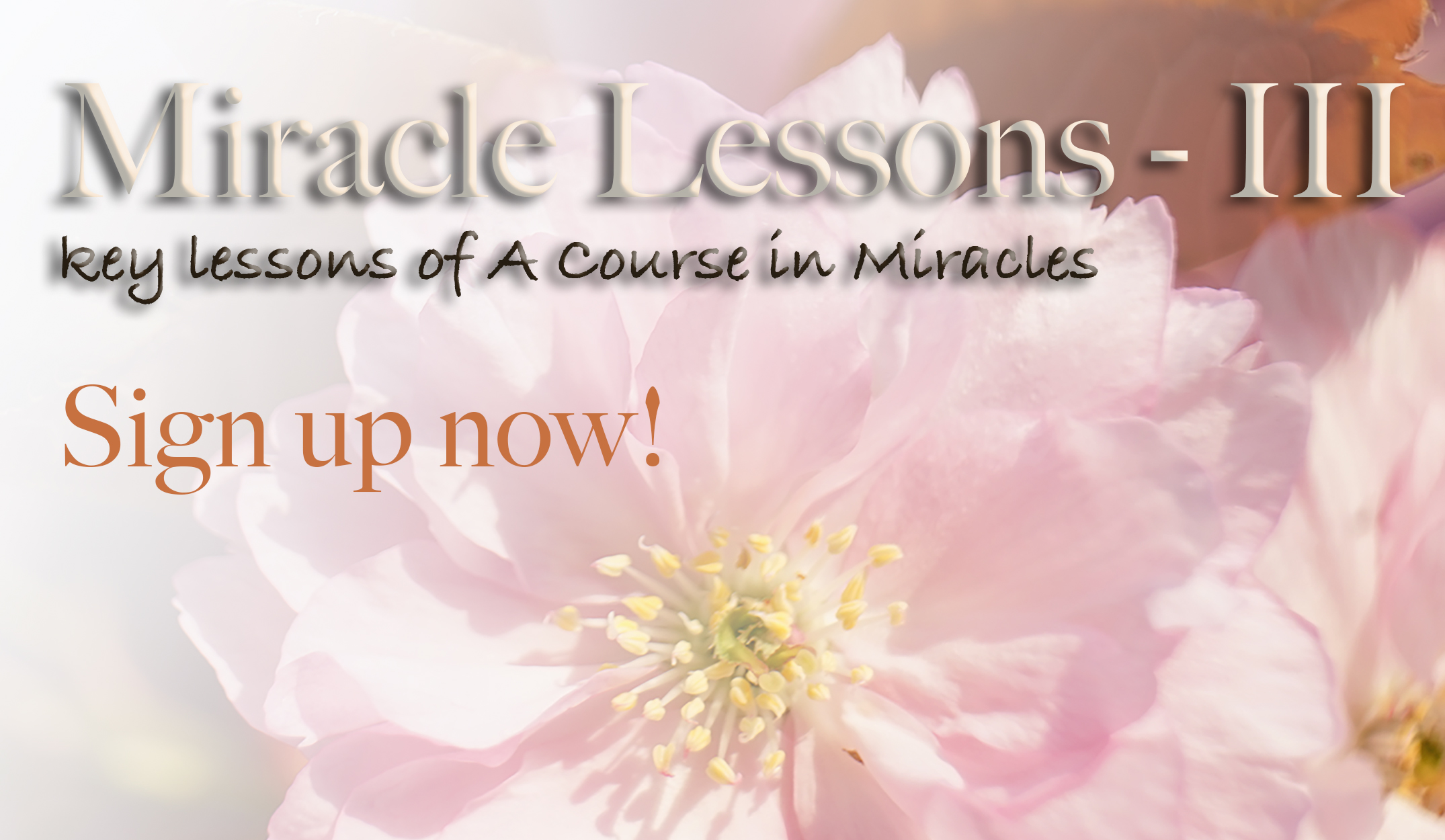 daily-miracle-3-sign-up