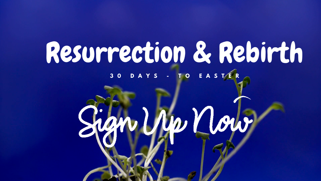 schermc2adafbeelding-2024-02-22-om-14.11.06-1